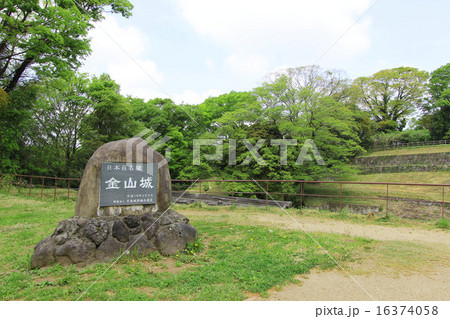 金山城跡 16374058