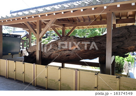 須磨寺 須磨寺 16374549