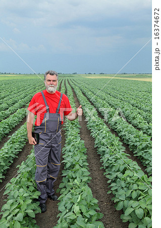 Farmer or agronomist in soy field Farmer or agronomist in soy field 16374672