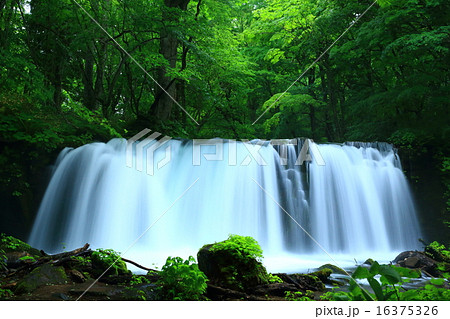 奥入瀬渓流 銚子大滝 奥入瀬渓流 銚子大滝 16375326