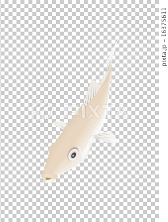 シロギス 16375611