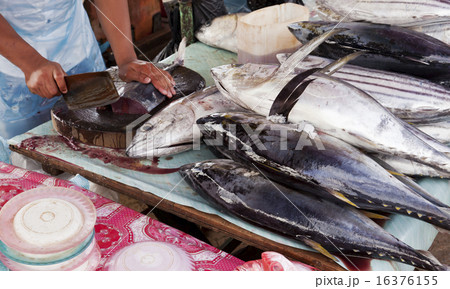 Butchering tuna 16376155