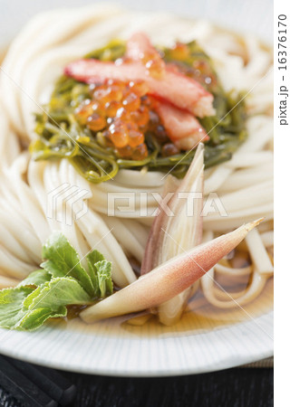 うどん 16376170