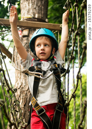 Five year boy on rope-way in forest Five year boy on rope-way in forest 16376289