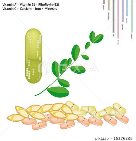 Fresh Moringa Leaves with Vitamin A, B6, B2 and C 16376839