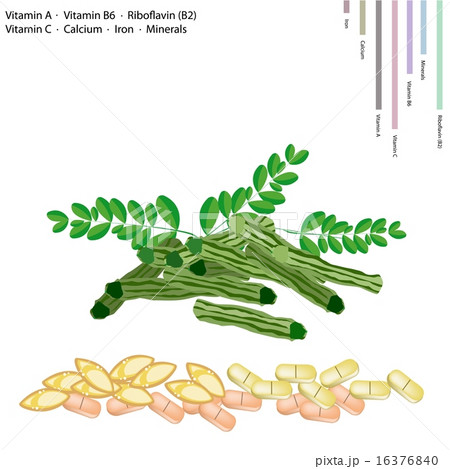 Moringa Pods with Vitamin A, B6, B2  C 16376840
