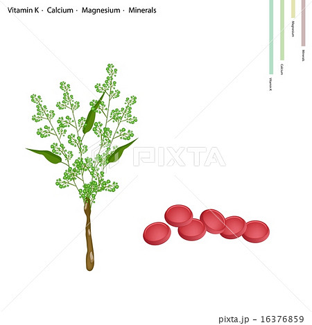 Neem with Vitamin K, Calcium and Magnesium 16376859