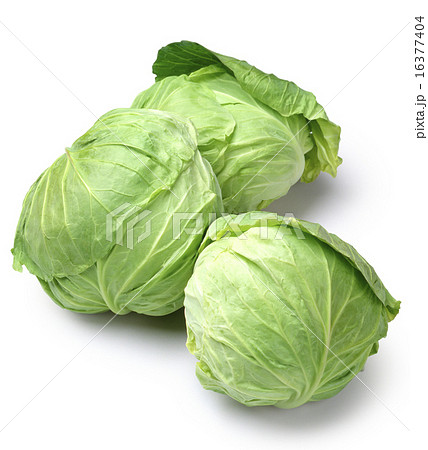 キャベツ 3個 キャベツ 3個 16377404