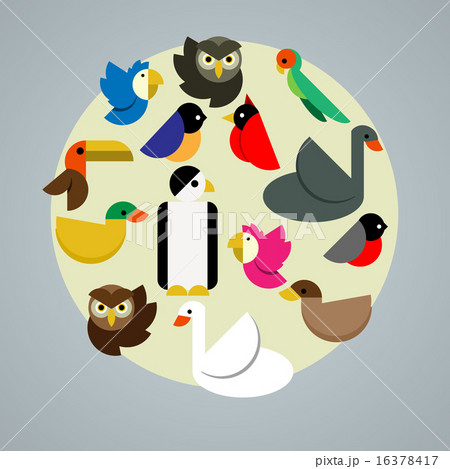 Birds vector illustration 16378417