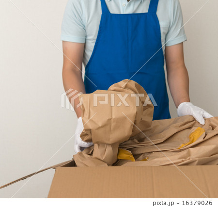 スタッフ 16379026