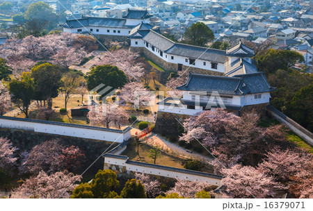 Himeji Castle, Hyogo, Japan Himeji Castle, Hyogo, Japan 16379071