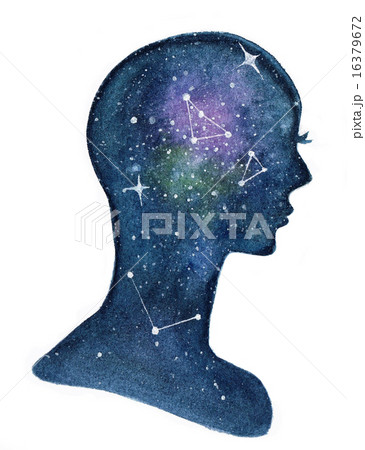 Brain 16379672