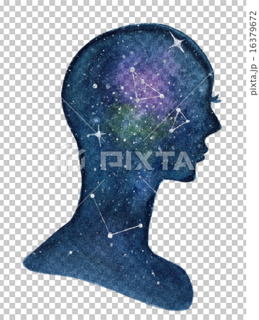 Brain 16379672
