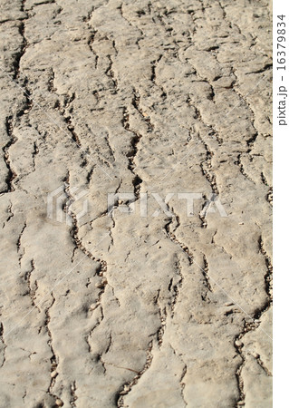 Dry land Dry land 16379834