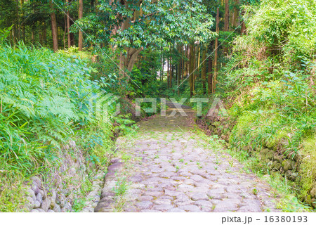 金谷坂石畳 16380193