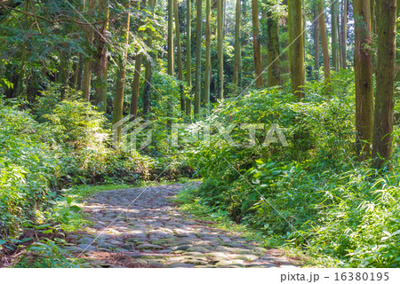 金谷坂石畳 16380195