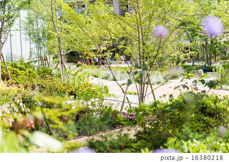 庭園 16380218