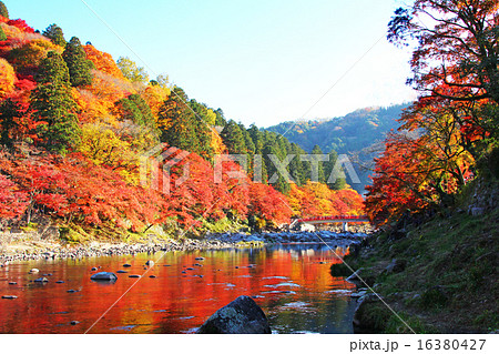 香嵐渓の紅葉(愛知県豊田市) 川の水面に映り込む真赤な紅葉 香嵐渓の紅葉(愛知県豊田市) 川の水面に映り込む真赤な紅葉 16380427