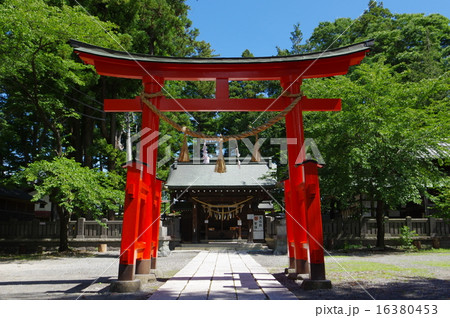信州 松本 重要文化財「筑摩神社」 境内鳥居(横) 信州 松本 重要文化財「筑摩神社」 境内鳥居(横) 16380453