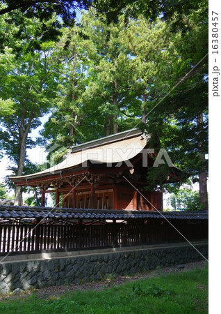 信州　松本　重要文化財「筑摩神社」　本殿 16380457