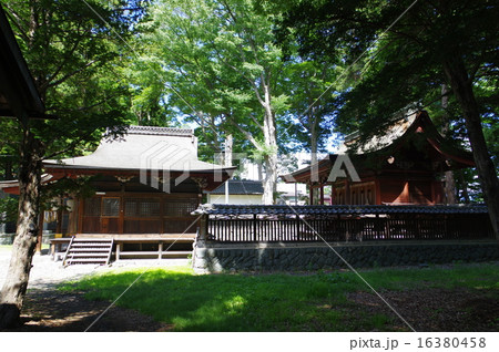 信州　松本　重要文化財「筑摩神社」　拝殿と本殿 16380458