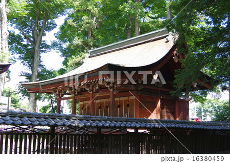 信州　松本　重要文化財「筑摩神社」　本殿 16380459