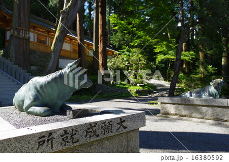 信州 松本 重要文化財「牛伏寺」 寺名の元となった伝説の牛の像 信州 松本 重要文化財「牛伏寺」 寺名の元となった伝説の牛の像 16380592