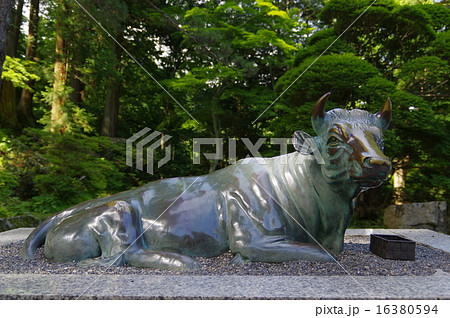 信州 松本 重要文化財「牛伏寺」 寺名の元となった伝説の牛の像 信州 松本 重要文化財「牛伏寺」 寺名の元となった伝説の牛の像 16380594