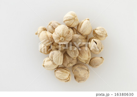 カルダモン 16380630