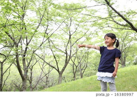 新緑と子供 指差しの写真素材