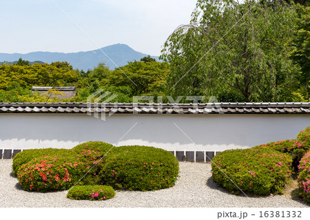 皐月の正伝寺 16381332