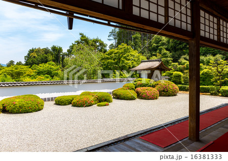 皐月の正伝寺 16381333