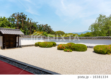 皐月の正伝寺 16381334