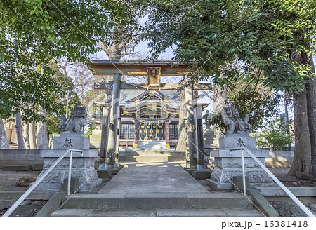 明治神社 明治神社 16381418