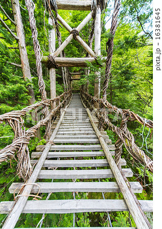 徳島県 奥祖谷二重かずら橋 男橋 徳島県 奥祖谷二重かずら橋 男橋 16381645