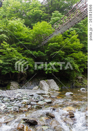 徳島県 奥祖谷二重かずら橋 男橋 徳島県 奥祖谷二重かずら橋 男橋 16381666