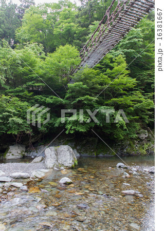徳島県　奥祖谷二重かずら橋　男橋 16381667