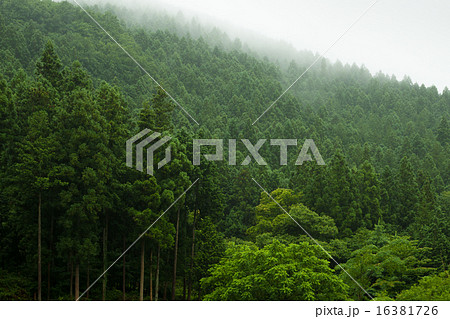 山霧 16381726