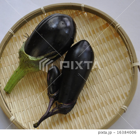 夏野菜茄子 16384006