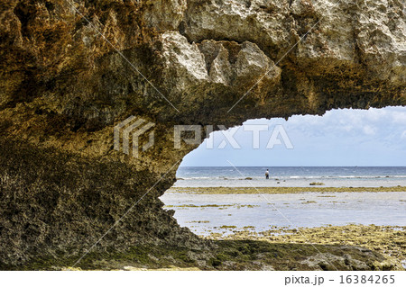 渡海浜の穴場ビーチ 渡海浜の穴場ビーチ 16384265