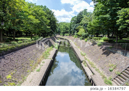 都会の河川 16384797