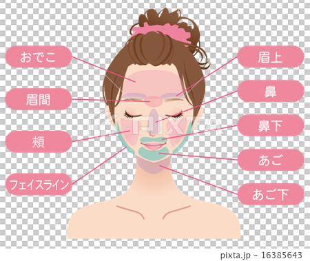 女性　美容　フェイス脱毛箇所 16385643