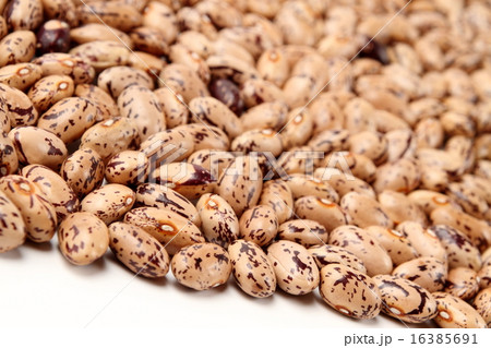 うずら豆 うずら豆 16385691