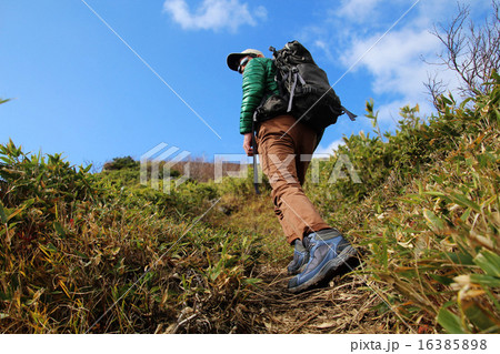 秋のトレッキング 秋のトレッキング 16385898