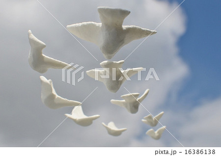 鳥の群れ 鳥の群れ 16386138