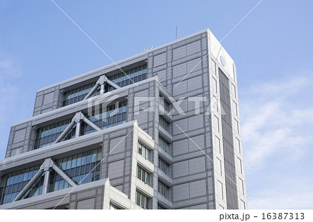 国際連合大学 16387313