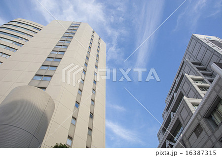 国際連合大学 16387315