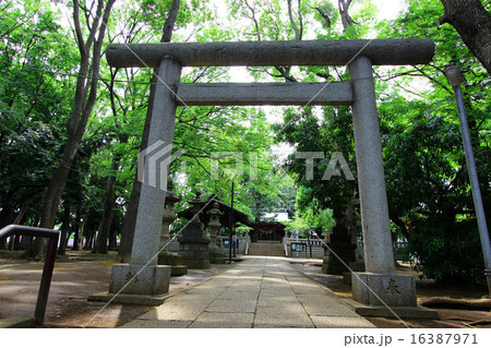 碑文谷八幡宮の写真素材