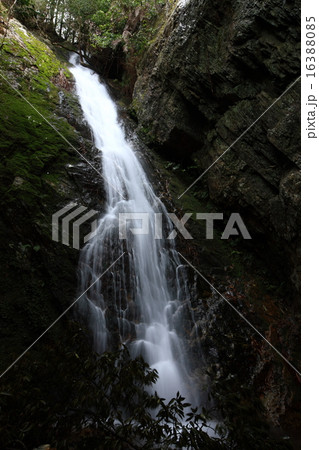 筱見四十八滝 16388085