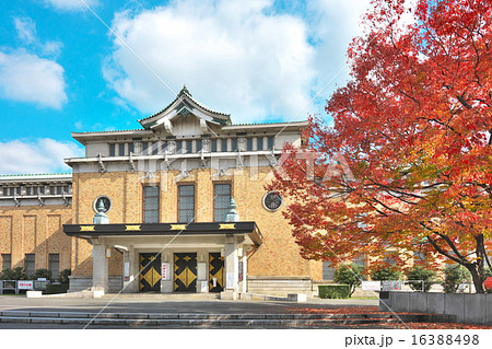 紅葉の京都市美術館 16388498